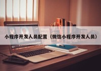 小程序開發(fā)人員配置（微信小程序開發(fā)人員）