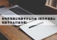 軟件開發(fā)類公司屬于什么行業(yè)（軟件開發(fā)類公司屬于什么行業(yè)分類）