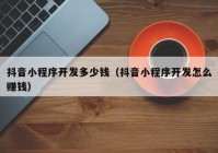 抖音小程序開發(fā)多少錢（抖音小程序開發(fā)怎么賺錢）