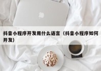 抖音小程序開發(fā)用什么語言（抖音小程序如何開發(fā)）