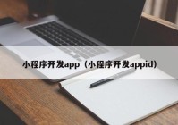 小程序開(kāi)發(fā)app（小程序開(kāi)發(fā)appid）