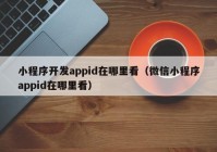 小程序開發(fā)appid在哪里看（微信小程序appid在哪里看）