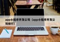 app小程序開發(fā)公司（app小程序開發(fā)公司排行）