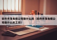 軟件開發(fā)有限公司做什么的（軟件開發(fā)有限公司做什么的工作）